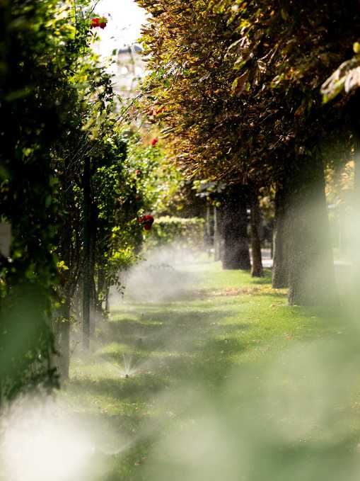 Rasensprenger tauchen das Grün des Volksgarten in einen Sprühnebel