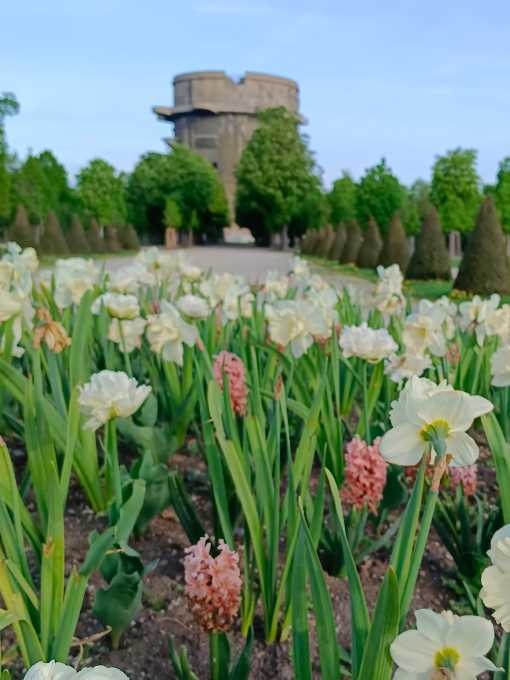 Augarten im Frühling