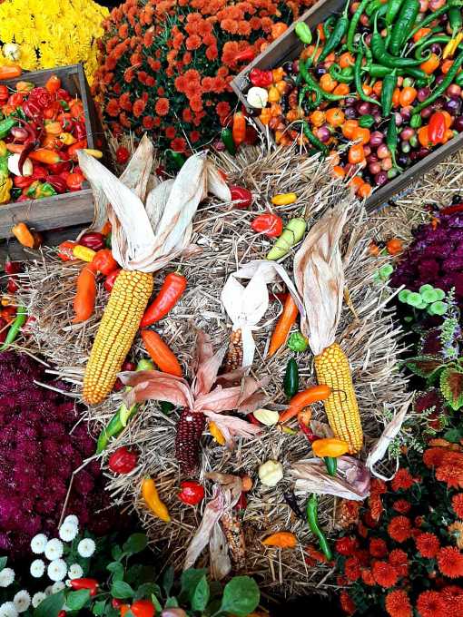 9. Wiener Herbsttage