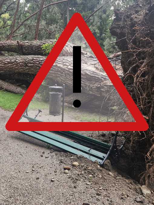 Umgestürzter Baum mit Warndreieck