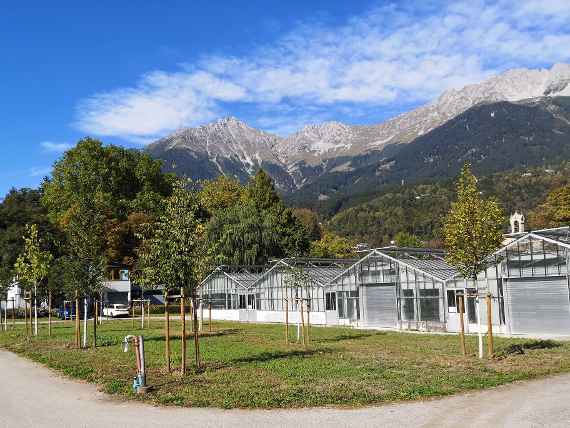 Klimabaumhain Innsbruck