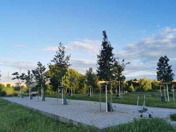 Klimabaumhain Wien