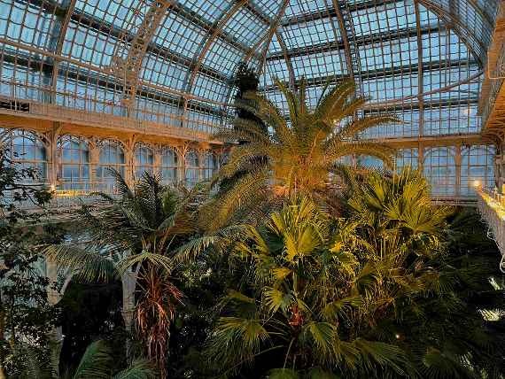 Blick von der Galerie mit einer großen Palme in der Mitte   