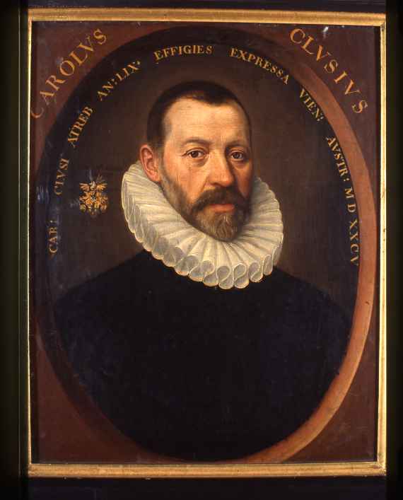 Gemaltes Porträt des Carolus Clusius