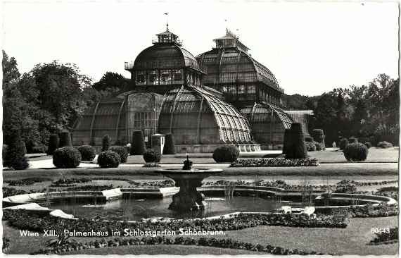 Das wiederhergestellte Palmenhaus, um 1960