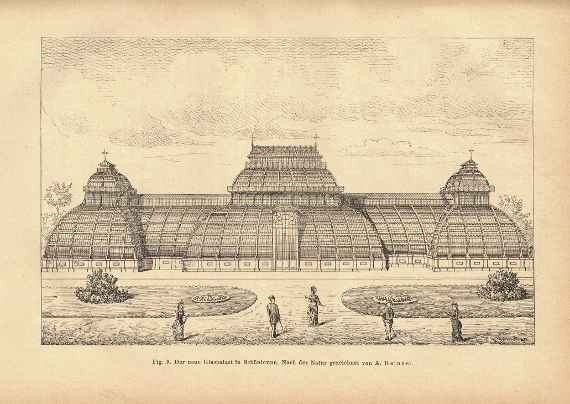 Stich des Großen Palmenhauses, 1882