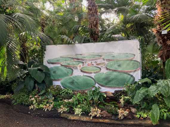 Die Eingangsgruppe im Palmenhaus