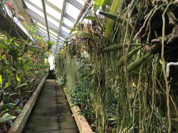 Botanische Sammlungen Schönbrunn