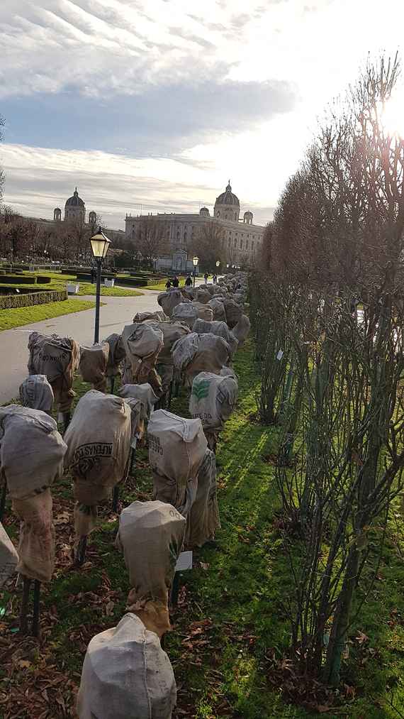 Volksgarten1