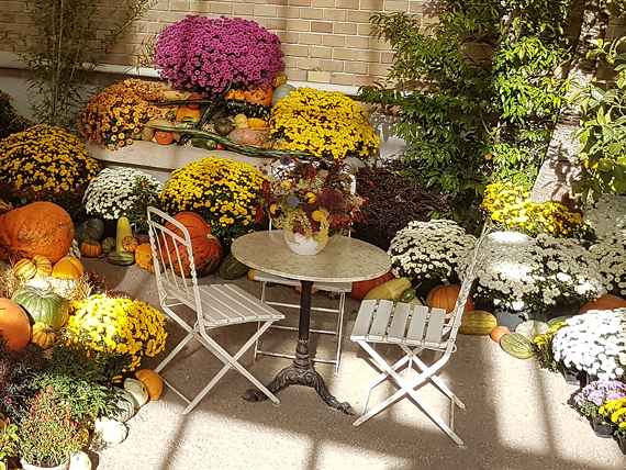 Tisch und Stühle inmitten von herbstlichen Blumensträußen