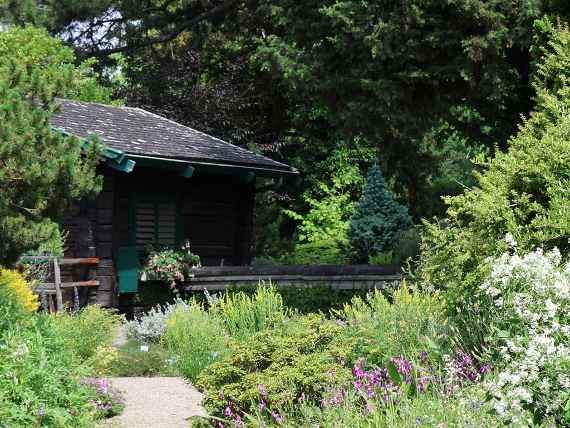 Alpengarten im Belvedere
