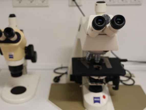 Lange Nacht der Forschung