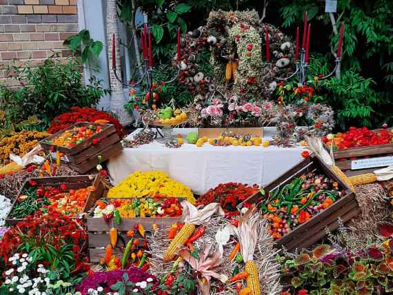 9. Wiener Herbsttage