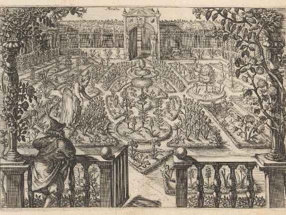 Sonderausstellung: Kaiserkron und Tulipan