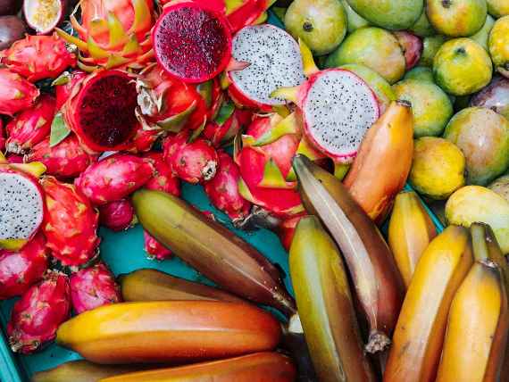 Exotische Pflanzen und Früchte im Großen Palmenhaus in Schönbrunn