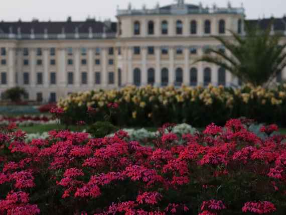 Schönbrunn am Abend