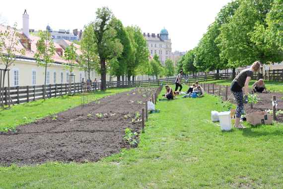 Urban Gardening beim Augarten
