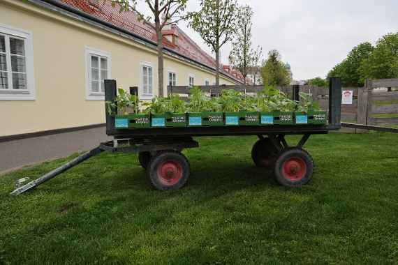 Gemüsekiste zum Start