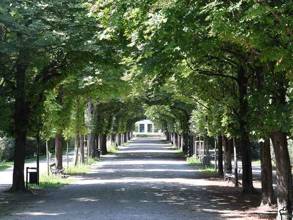 Historische Sichtachse im Augarten