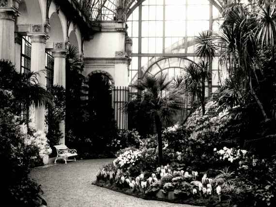 Historische Ansicht des Palmenhauses im Burggarten