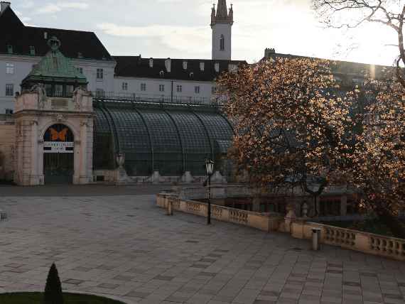 Schmetterlingshaus im Burggarten