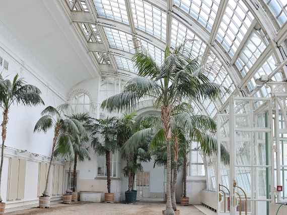 Ausstellungsraum im Palmenhaus im Burggarten