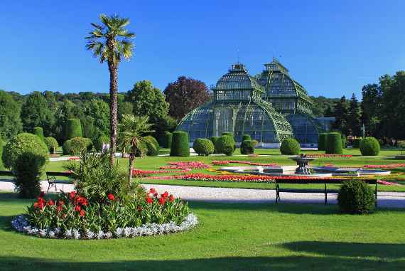 zu sehen ist das Palmenhaus im Schlosspark Schönbrun, davor eine grüne Wiese mit einem Teich und einer Palme