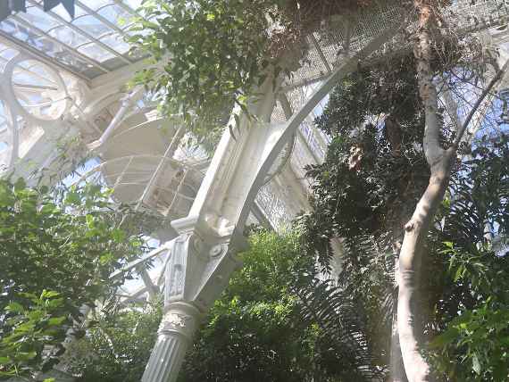 Palmenhaus Innenansicht Palmenhaus Innenansicht