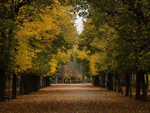 Schönbrunner Schlosspark im Herbst