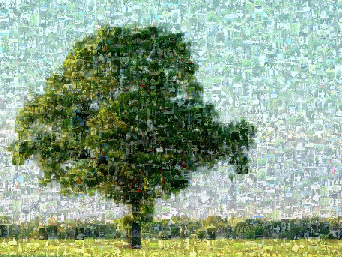 Alle Unterzeichner fügen sich als kleine Bilder zu einem Mosaik zusammen, das einen großen Baum zeigt.