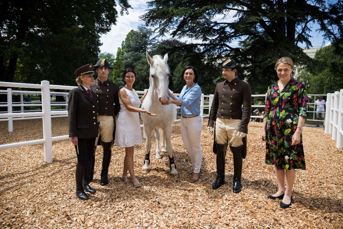 Elisabeth Köstinger, Sonja Klima, Katrin Vök und ein paar Reiter der Spanischen Hofreitschule stehen um einen Lipizzaner.