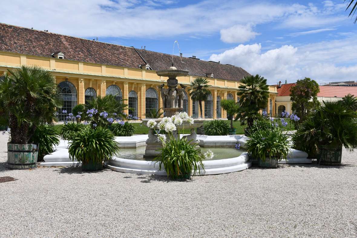 Um einen Brunnen stehen Pflanzen, im Hintergrund ist das Orangeriegebäude zu sehen