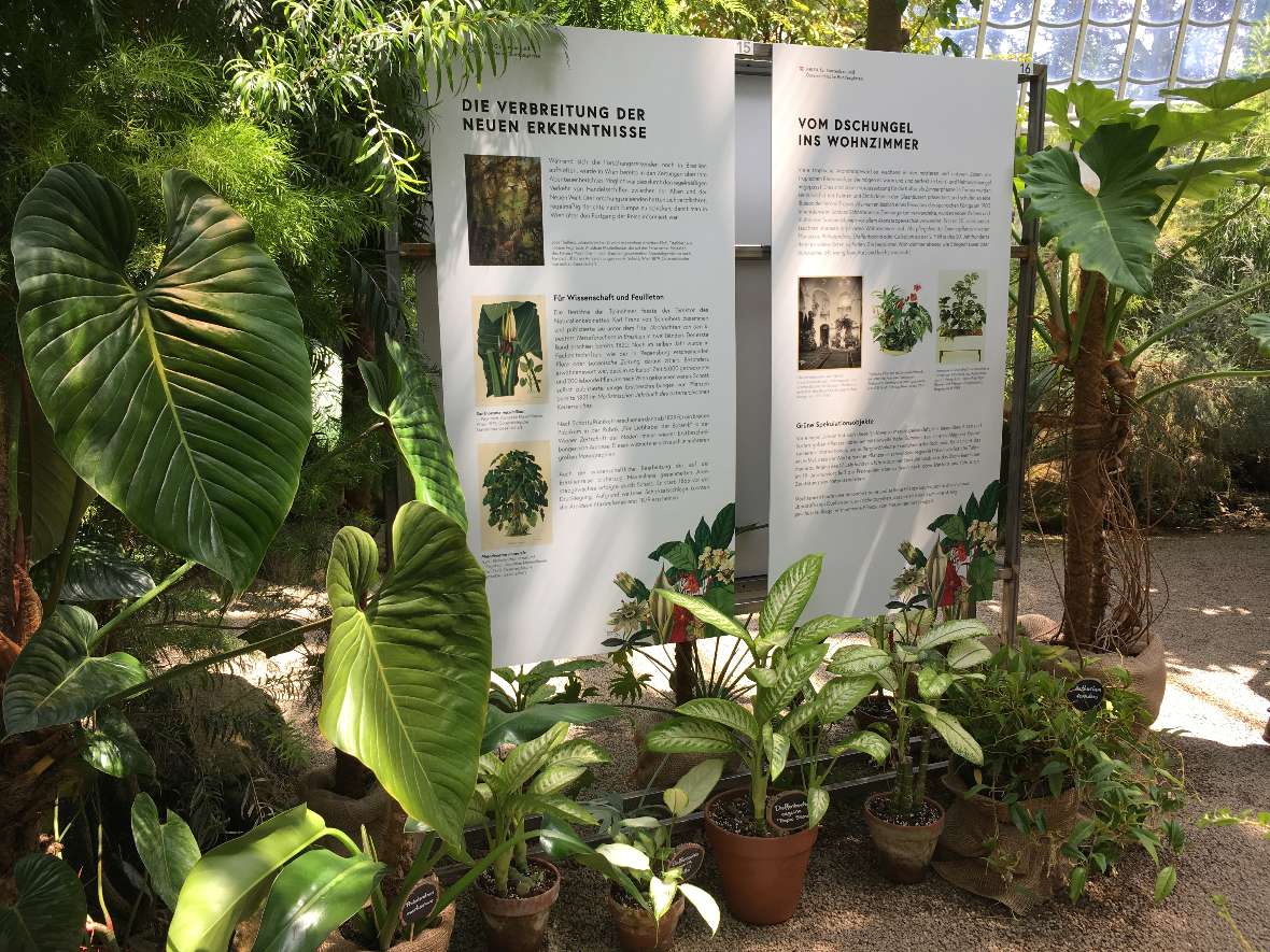Ausstellungstafel und Pflanzen