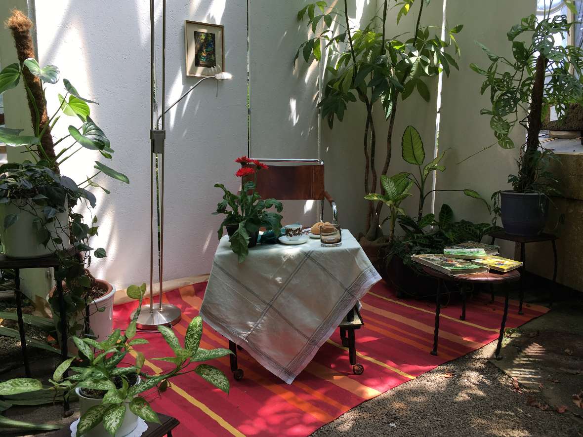 Wohnzimmersituation mit aus Brasilien stammenden Zimmerpflanzen