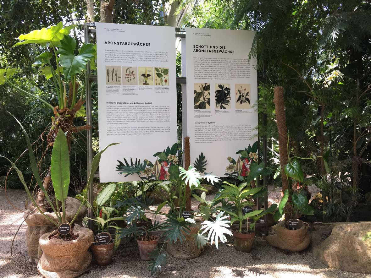 Ausstellungstafeln und Pflanzen