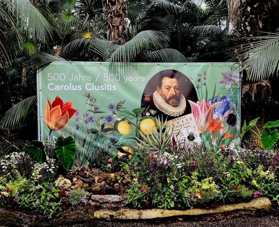 Sichtschutznetz mit dem Ausstellungssujet und ausgesetzten Sommerblumen