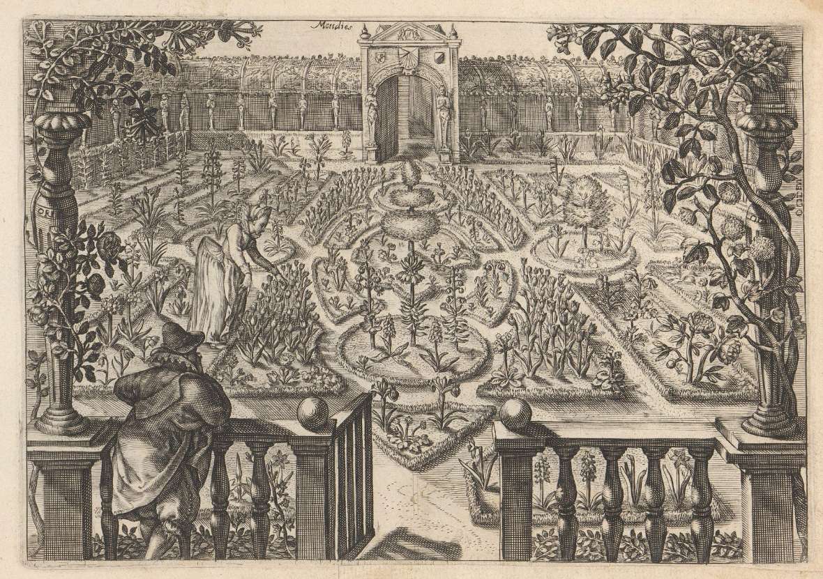 Ansicht eines Gartens im Frühling mit weit auseinander stehenden Zwiebelpflanzen