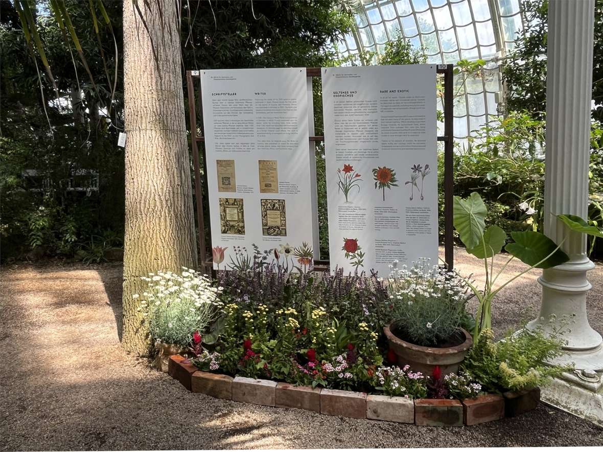 Ausstellungstafeln im Großen Palmenhaus mit Sommerblumendekoration