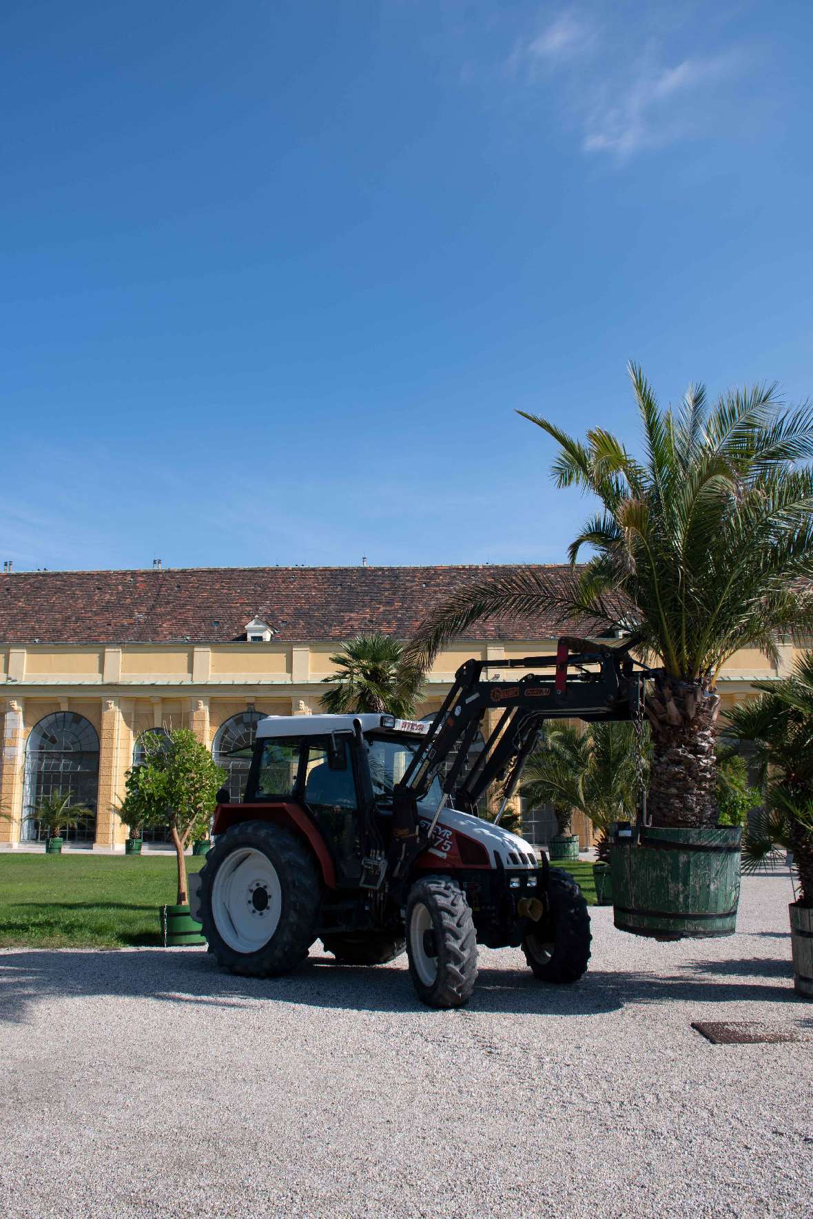Traktor fährt mit hochgehhobener Palme am Orangeriegebäude vorbei