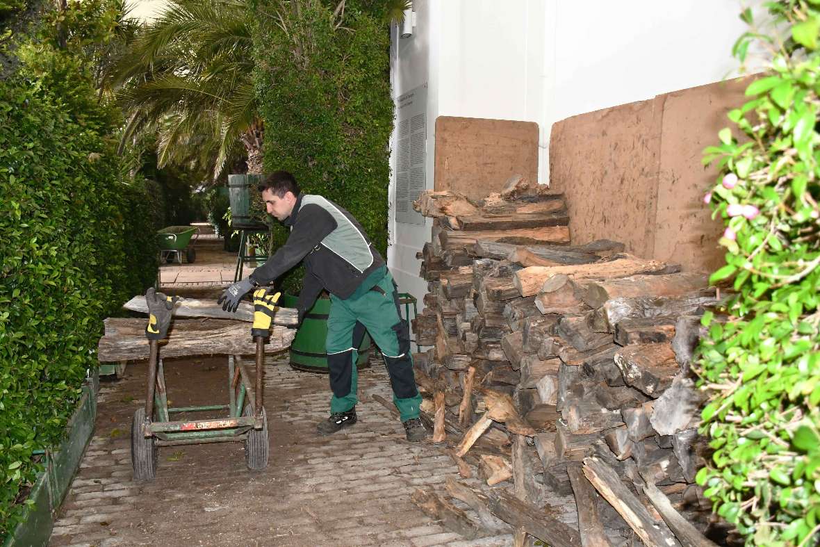 Gärtner schichtet das Brennholz von einer Nische auf einen Karren