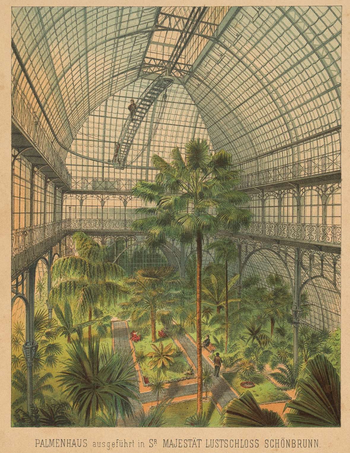 Blick in den Mittelpavillon des Palmenhauses mit der Livistona