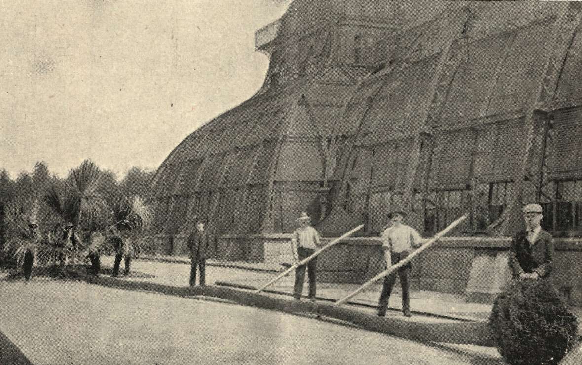Die ausgegrabene Livistona liegt vor dem Großen Palmenhaus