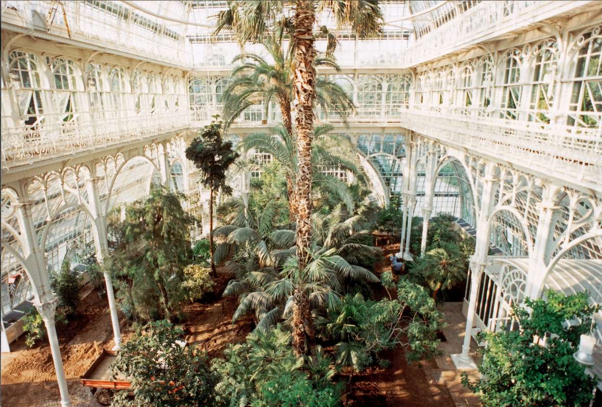 Der restaurierte Mittelpavillon mit der knapp 50 Jahre alten dritten Livistona, 1990