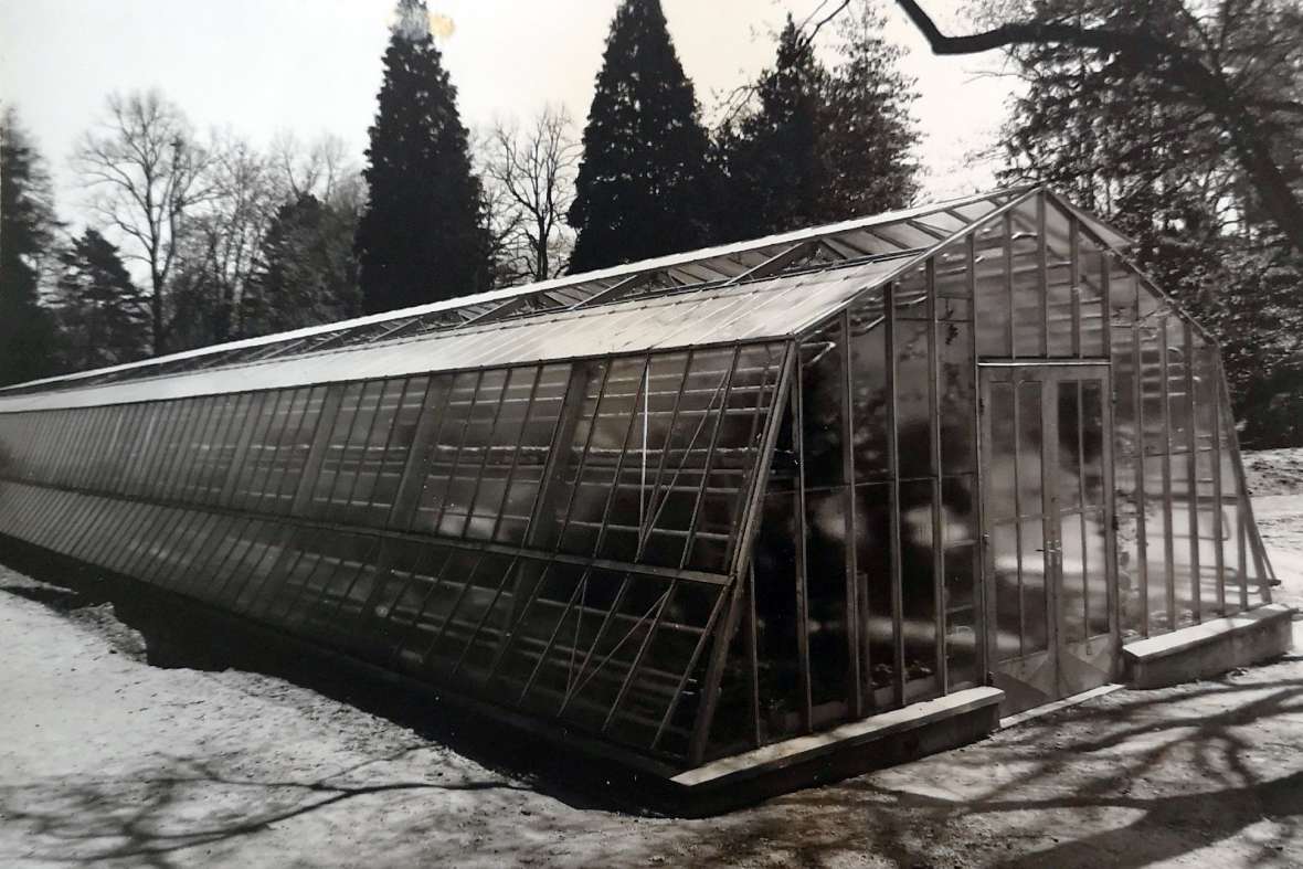 Blick auf das neu errichtete Palmenhaus