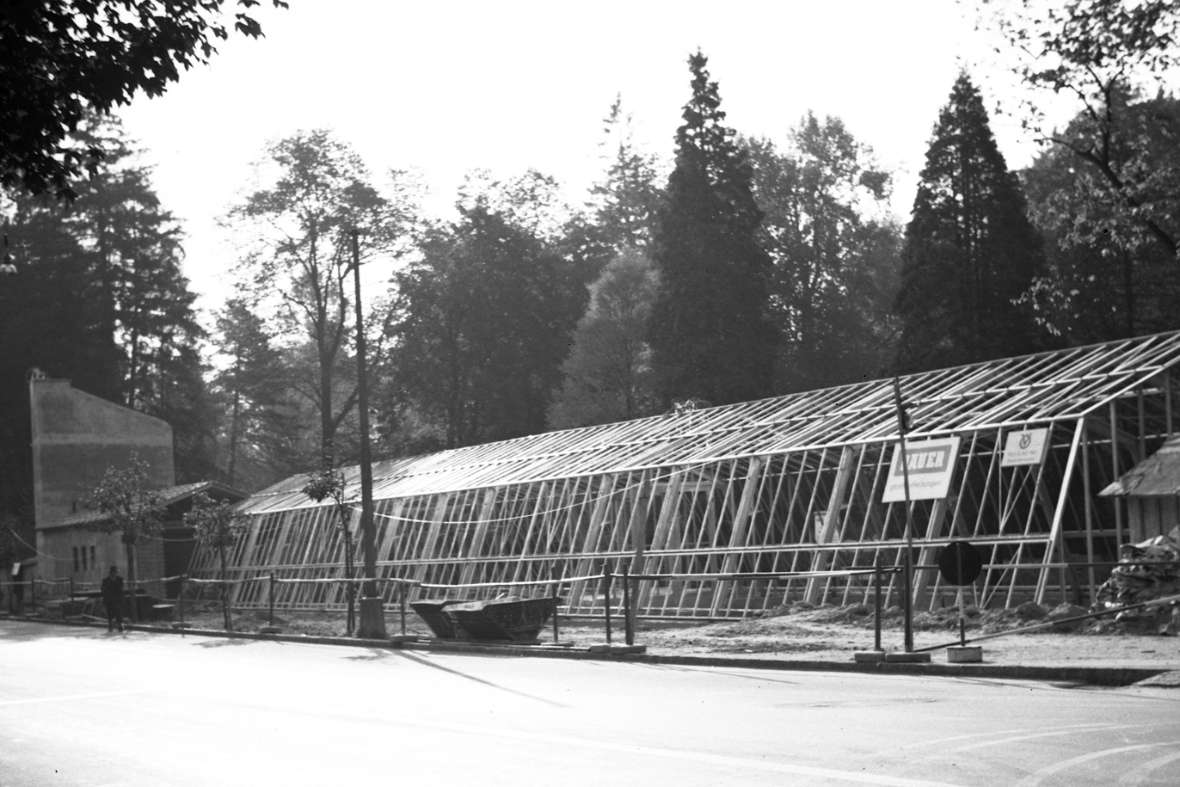 Palmenhaus im Hofgarten