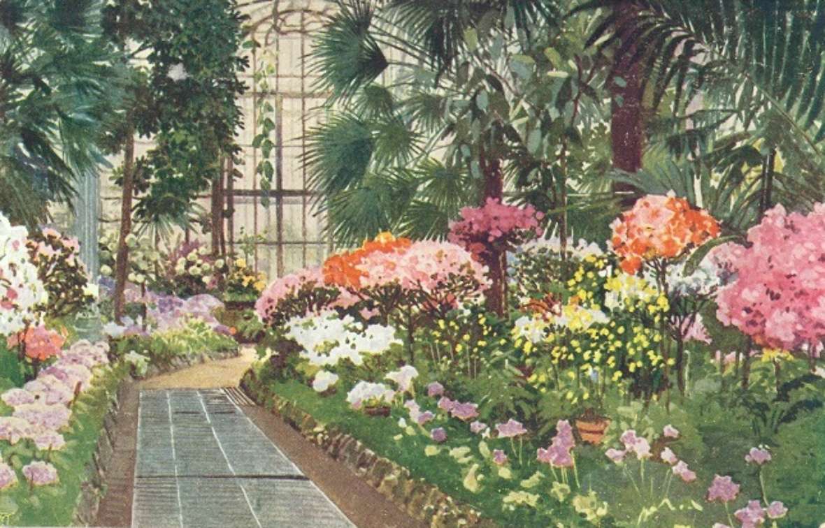 Postkarte der Azaleenausstellung, um 1900