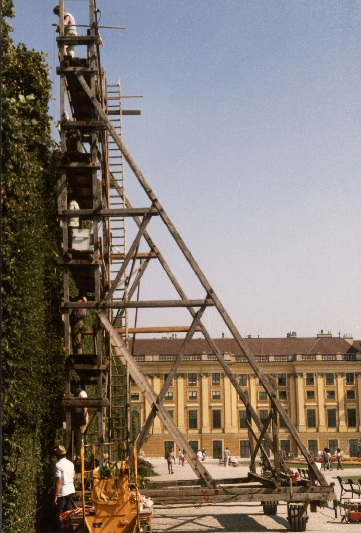 Die Heckenwände im Parterre im Schlosspark Schönbrunn werden geschnitten