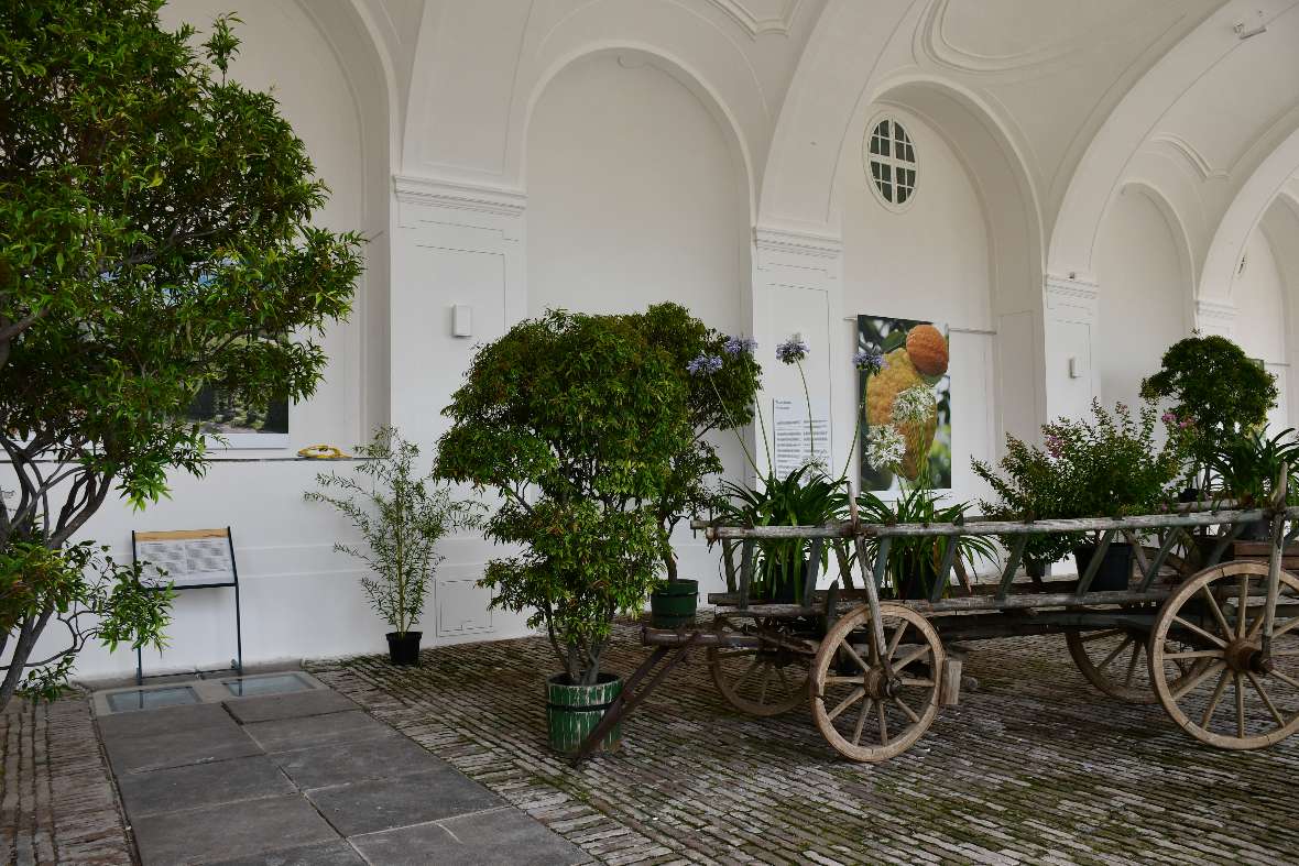 Alter Leiterwagen mit Pflanzen steht im Orangeriegbeäude