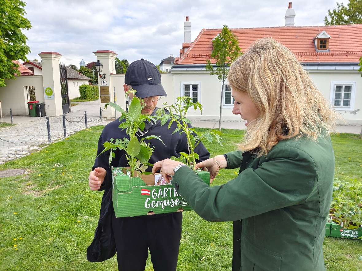 Katrin Völk richtet die Jungpflanzen im Starterpaket eines Gewinners