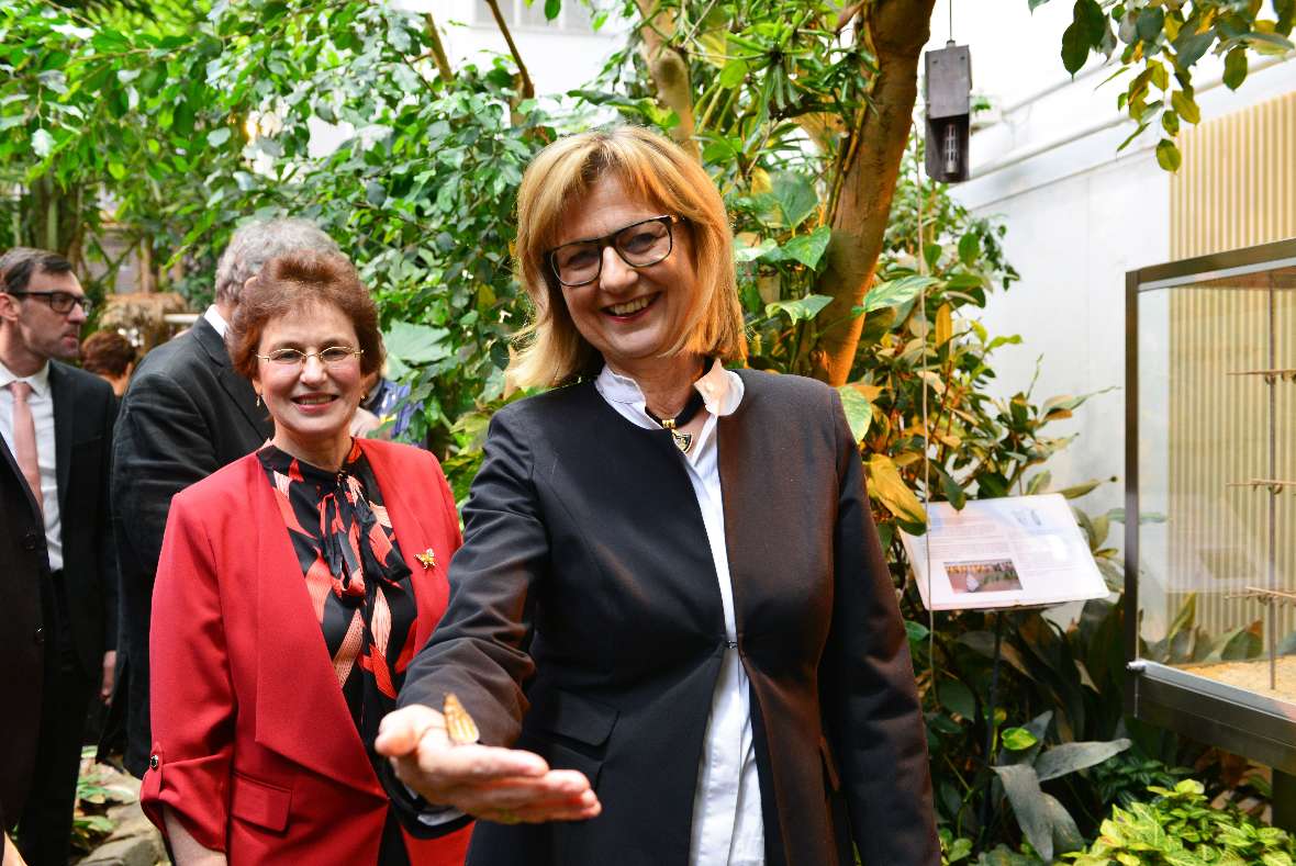 Zu sehen ist im Vordergrund Frau Bundesministerium Maria Patek, die einen blauen Schmetterling auf der Hand hält.